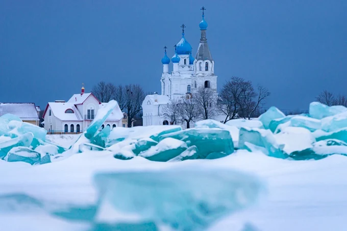 Ветвеник