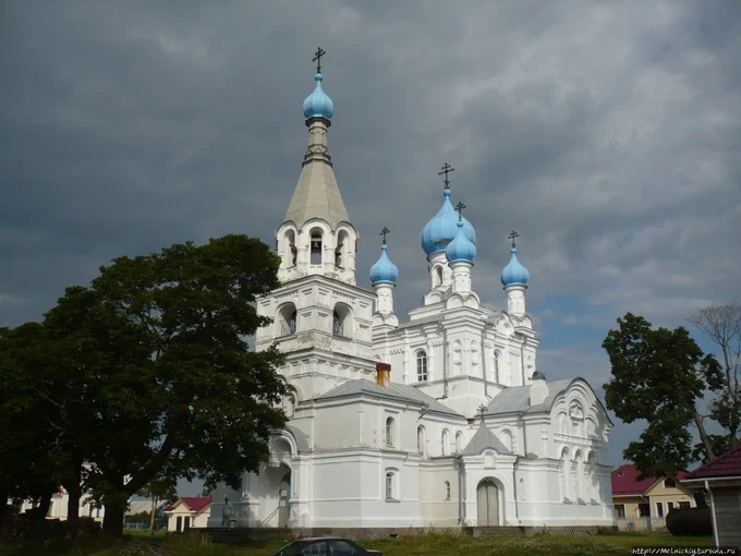 Ветвеник